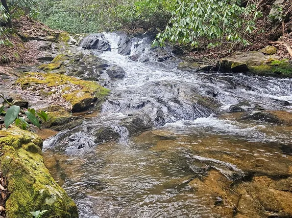 Sydney Falls Trl #172, Old Fort, NC 28762