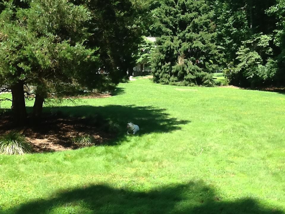 View of the property from the street.