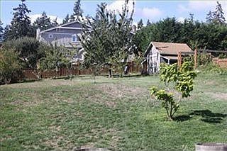Large Backyard