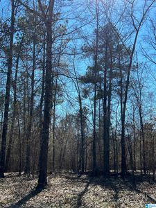 0 Martin Dell Dr #9, Mc Calla, AL, 35111