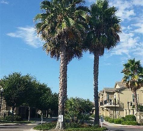 2nd image of 3301 N Park Dr Unit 1315
