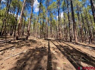 249 Timber Drive, Bayfield, CO 81122