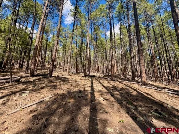 249 Timber Drive, Bayfield, CO 81122