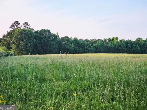 0 Welcome Rd Tract 3, Roopville, GA 30170