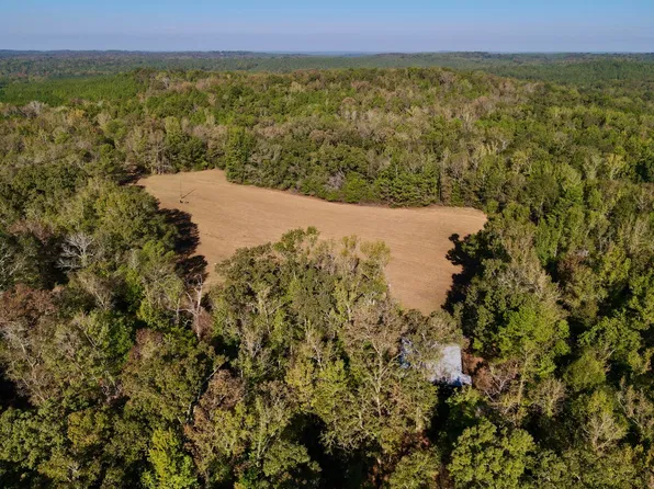 0 Wesley Chapel Rd, Kennedy, AL 35574