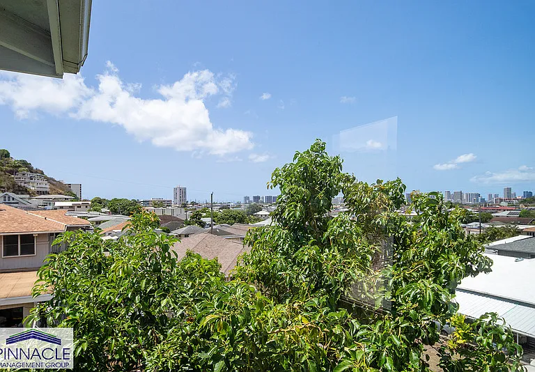 3533 Hinahina St — Photo 6