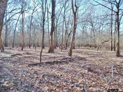 County Road 1904, Jacksonville, TX, 75766