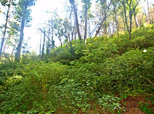 PAR36 & 37 Newman Rd, Gatlinburg, TN 37738