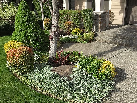 Manicured front yard.
