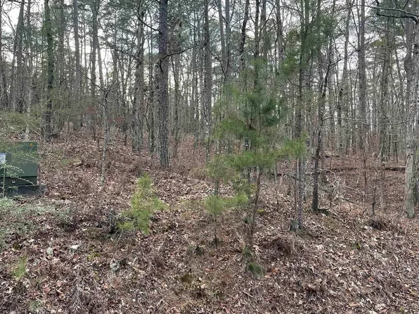 (undisclosed Address), Hot Springs Village, AR 71909