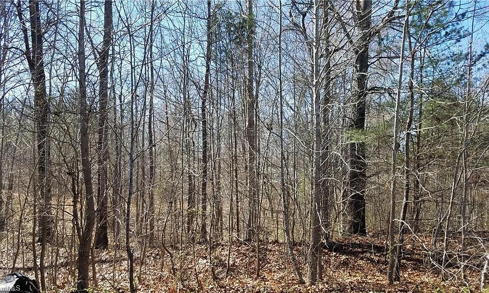 2nd image of 153 Lester Dr