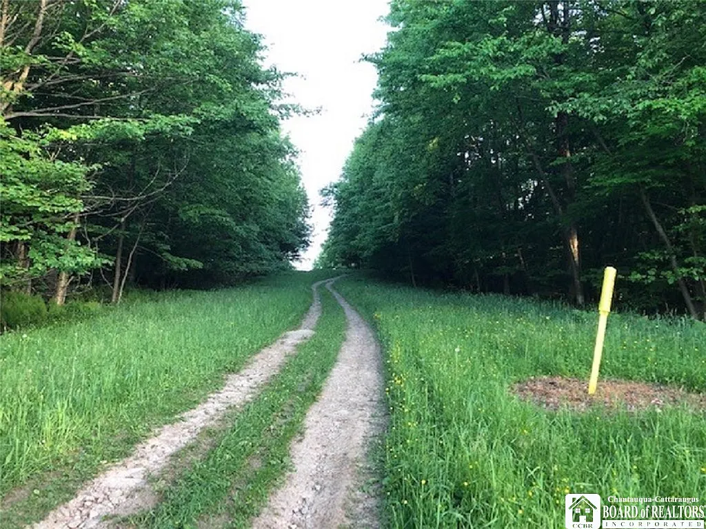 0 Nys Rte Lot 72 photo 1