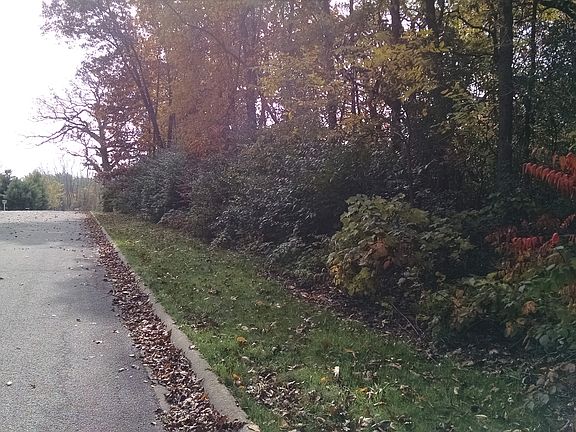 2nd image of 11202 Hill Crest Ln