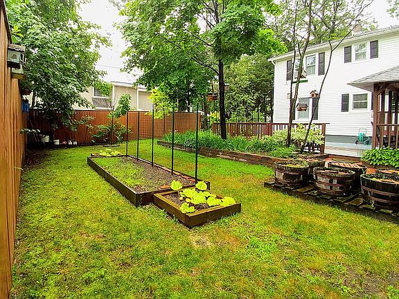 Bean frame, garden barrels