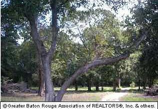 1st image of LOT 1 Bayou Paul Ln