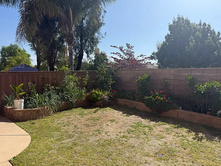 38118 Tranquila Ave — Photo 27