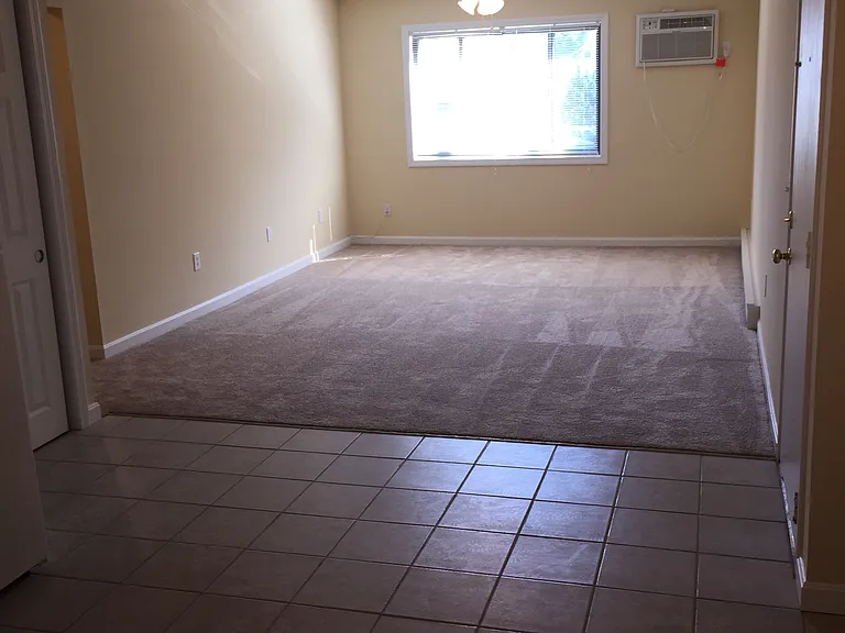 2 Pineland Avenue — Photo 12