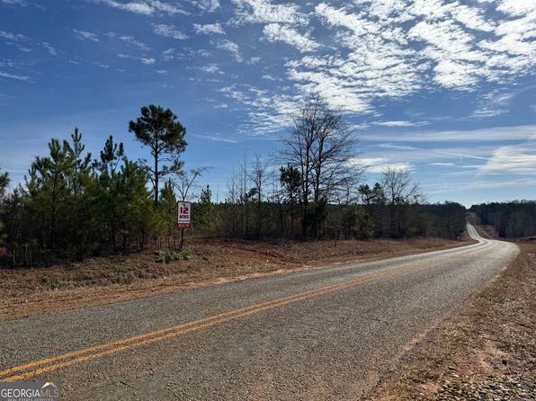 17 Dozier Rd, Ellaville, GA 31806