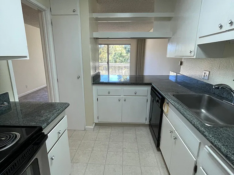 1101 Continentals Way #310 — Photo 11