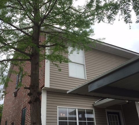 Back of Condo