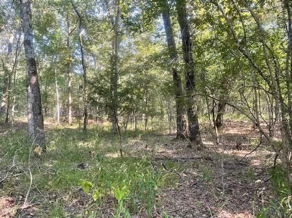 County Road 16150, Deport, TX 75435