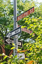 366 Adelphi Street in Fort Greene