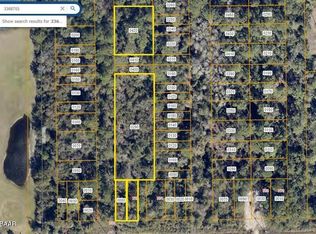 728 Osteen Maytown Rd LOT 7, Osteen, FL 32764