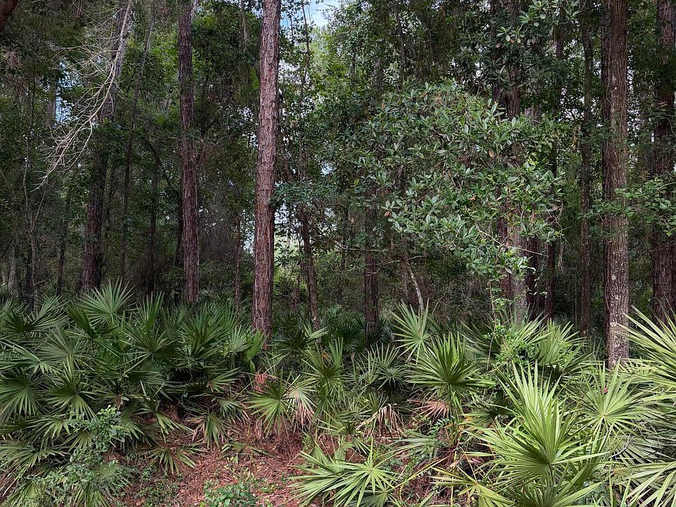 2nd image of 102 CAROLINE Boulevard