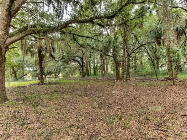 555 Oak Ave, Mount Dora, FL 32757