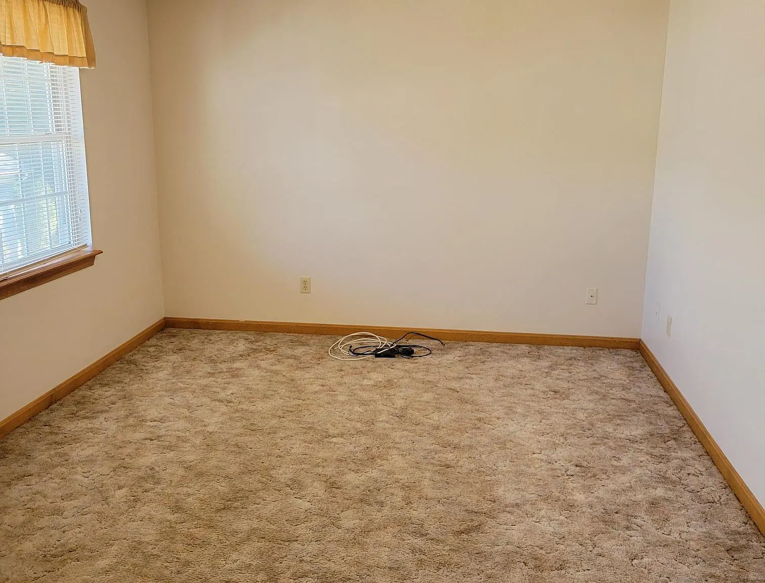 1 bed, 530 sqft, $1,650 — Photo 4