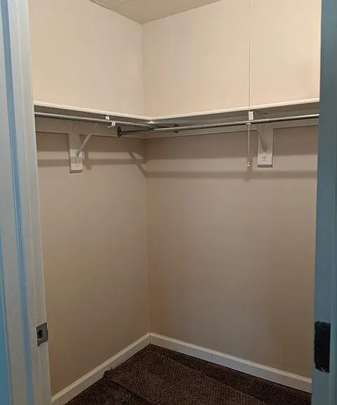 Main Floor Bedroom Walk-In Closet