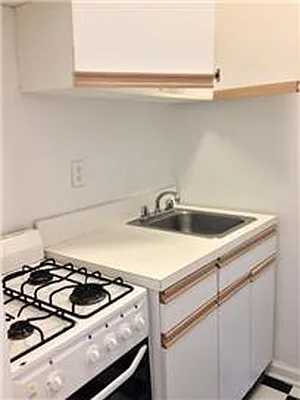 Rented by Green Line Realty | media 29