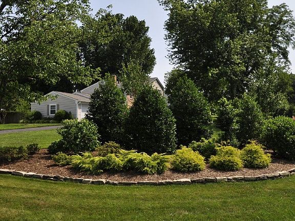 Lush Landscaping
