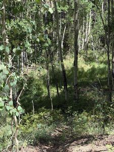 Kawasaki LOT 5662, San Luis CO - Owner Finance Home