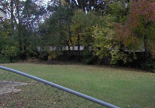 Nice large back yard.