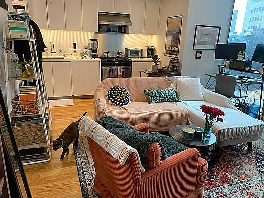 2nd image of 436 Albee Sq APT 4C