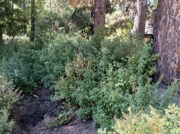 0 Green Valley Lake Rd #8, Green Valley Lake, CA 92341