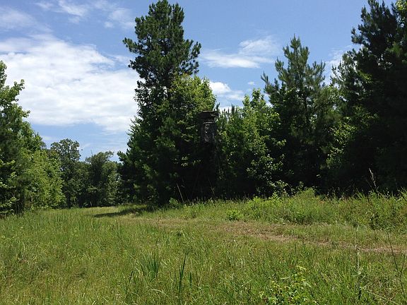 Open field going into woods
