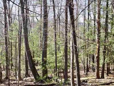 LOT 6 Laura Ln, Saugerties, NY, 12477