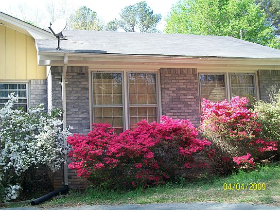 SIDE YARD