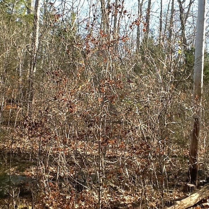 2nd image of 634 E Raccoon Valley Dr