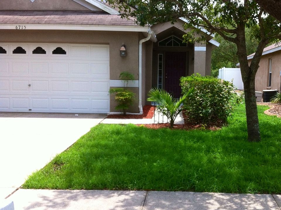 Summer Lawn