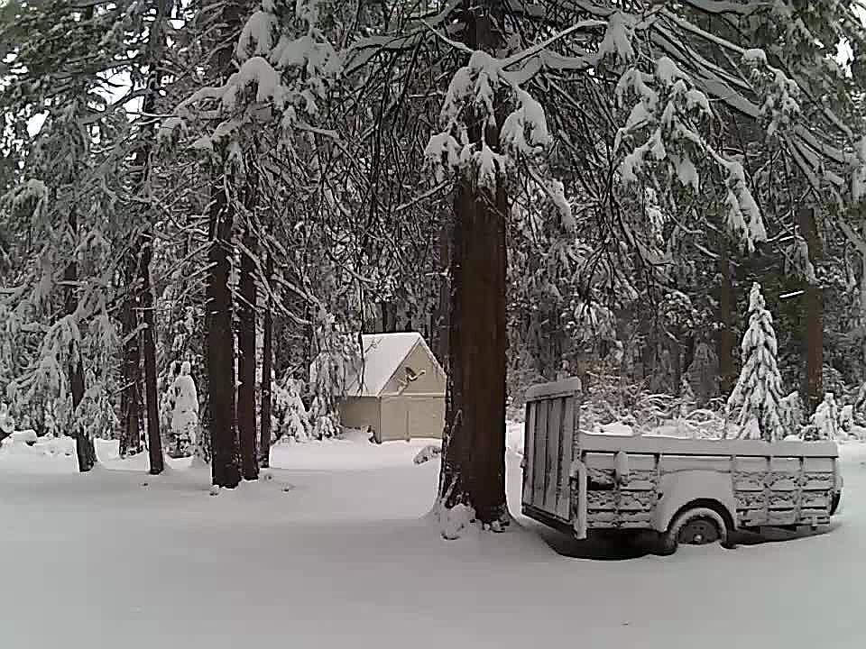 2nd image of 10071 Ditch Camp Rd