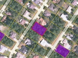 70 Bruning Ln, Palm Coast, FL 32137