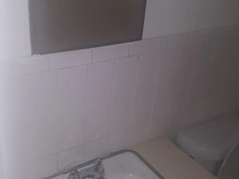 hall bathroom