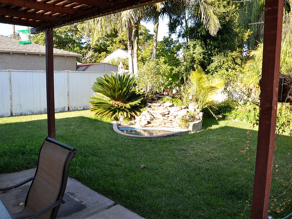 Backyard Pond