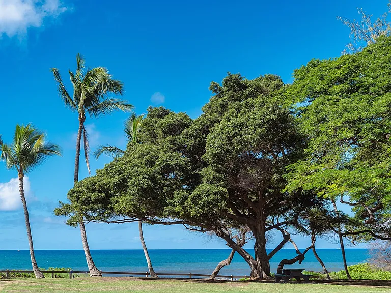 S Kihei Rd — Photo 32