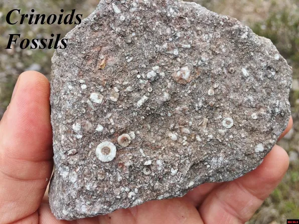 2270 Lighthouse Ln, Yellville, AR 72687