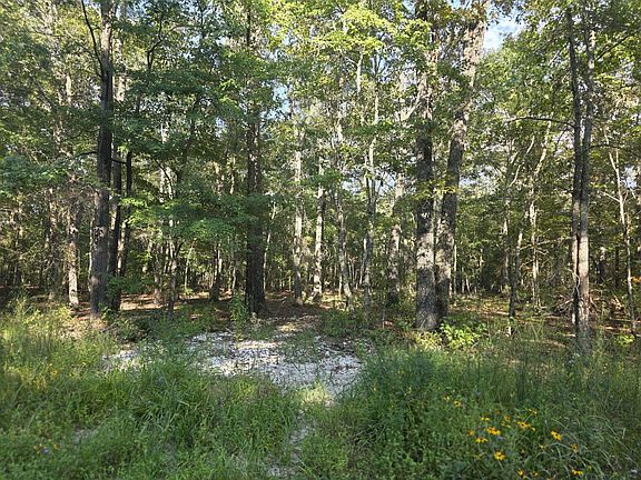 4th image of 0 Pepper Rd