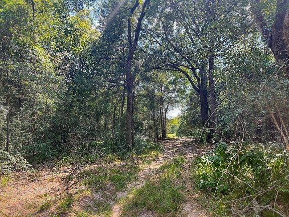 3rd image of 1957 County Road 155
